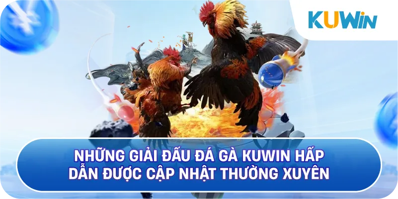 Những Giải Đấu Đá Gà KUWIN Hấp Dẫn Được Cập Nhật Thường Xuyên